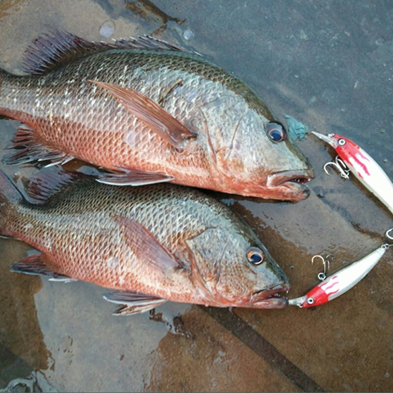 Tsurinoya flutuante minnow isca de pesca dw11 95mm 9g profissional duro manivela isca de pesca artificial wobblers pique baixo iscas
