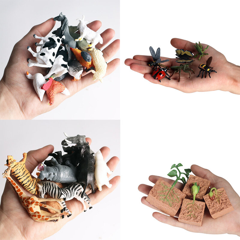 New Simulation Insect Animals Toy Figures Soybean Seed Growth Cycle Model Action Figure Educational Kid Toys Baby Early Toy Gift