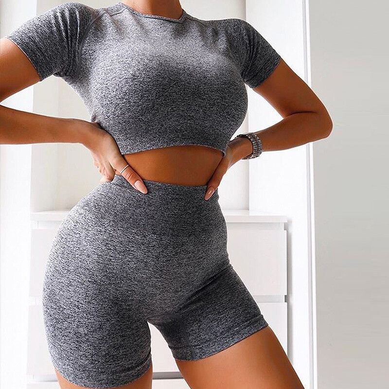 Seamless fitness yoga set Women outfits High Waist sport shorts and short sleeve t-shirts Gym clothings workout Sports Suits