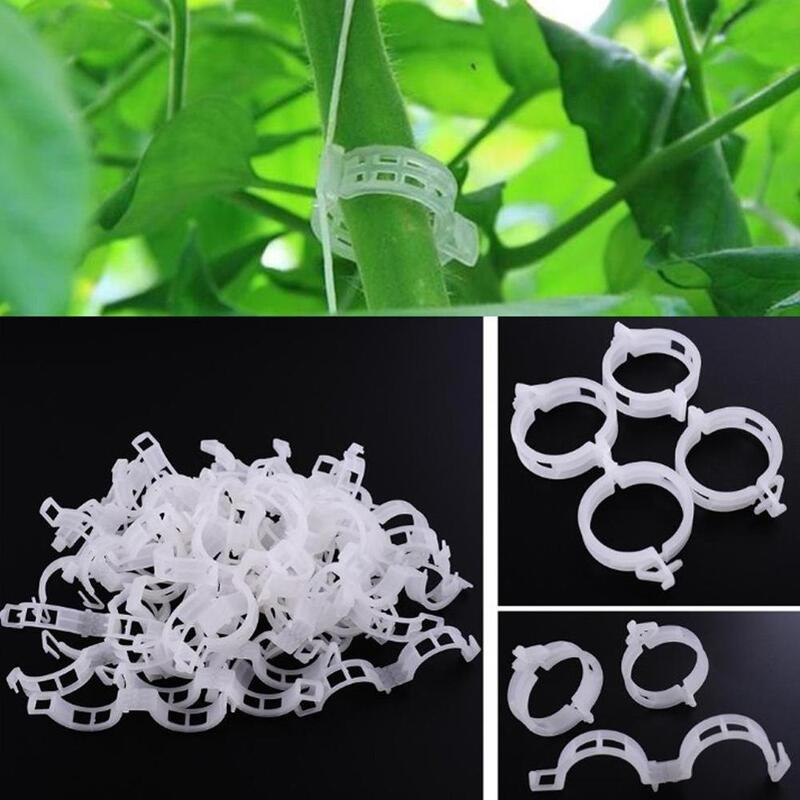 50/100/200pcs 23mm clip di supporto per piante in plastica morsetti per piante appese vite giardino serra verdure pomodori clip