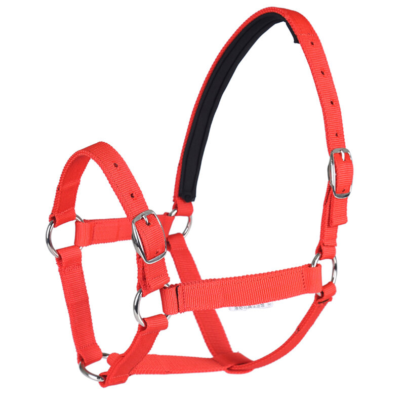 Collar de cabeza de caballo ajustable, cinturones Halter de seguridad para montar, equipo ecuestre, equipo de carreras, cuerda de entrenamiento