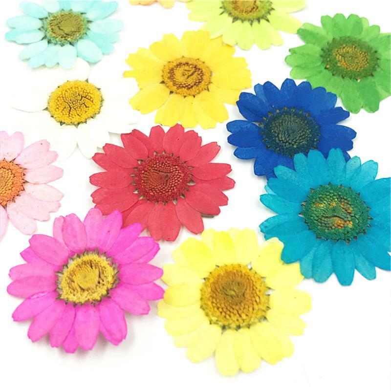 30Pcs Pressed Natural Dried Plants Dry Flower Necklace DIY Craft Jewelry Making Accessories Artificial Flower Decorations Nail