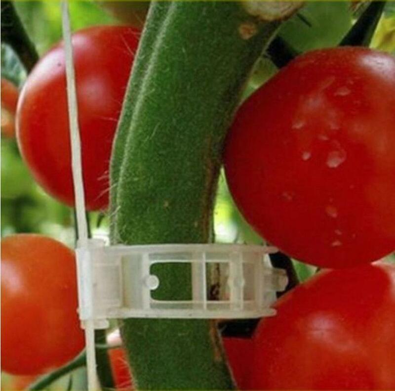 50/100/200 sztuk 23mm plastikowe klipsy wspierające rośliny zaciski dla roślin girlanda ogród cieplarnianych warzywa pomidory klipy