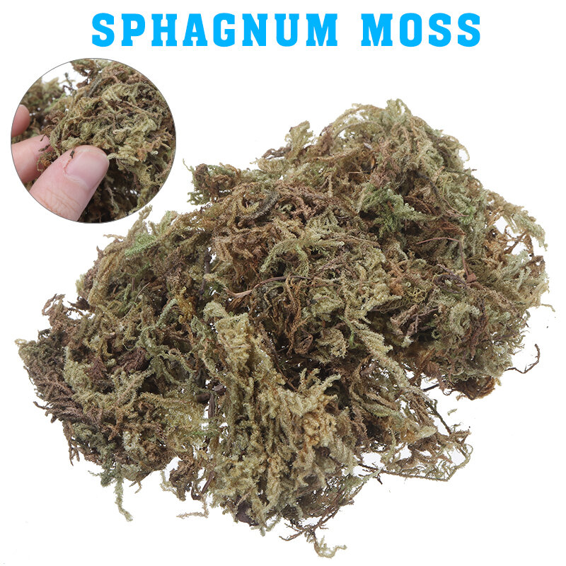 ธรรมชาติแห้ง Organic Matter Terrarium Sphagnum Moss กล้วยไม้สำหรับพืชอุปกรณ์ตกแต่ง DIY ดินฟรีสวน