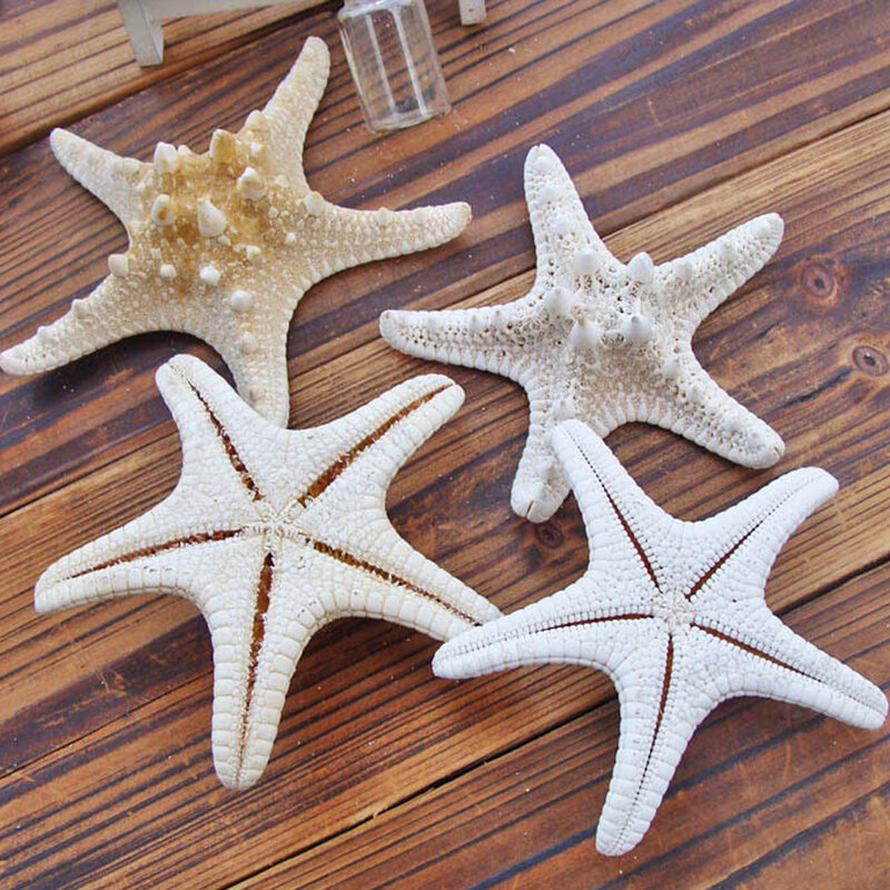 2 stücke Tropical Ozean Natürliche Starfish Ornament Hochzeit Hause Dekoration Handwerk Seesterne Zubehör