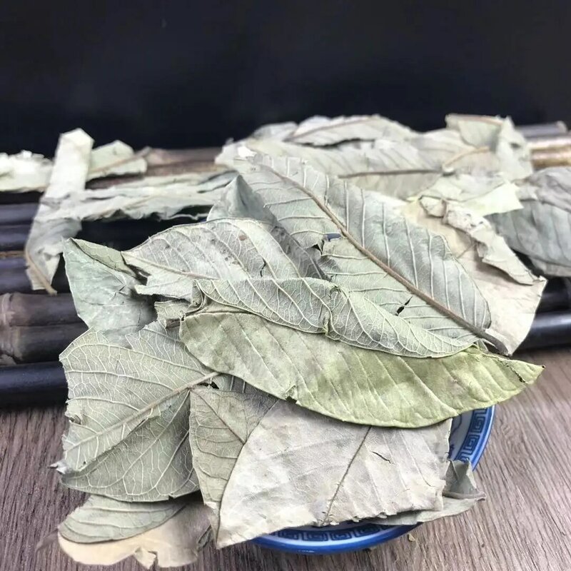 緑の乾燥した葉-100% 天然guava Leaf hjas de guayaba secas-アンチグロス