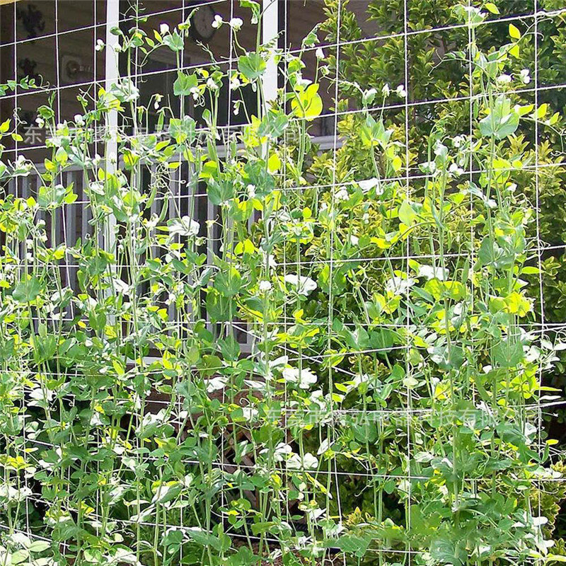 Planta treliça rede resistente poliéster planta suporte videira escalada hidroponia jardim rede acessórios multi uso