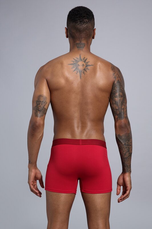 5 pçs/lote roupa interior dos homens de algodão macio boxers cuecas para homens gay sexy plus size confortável masculino underwears calcinha homme
