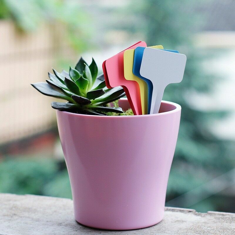 6x10cm Plant Tags T Type Plant Markers Colorful Waterproof Label Nursery Garden Labels for Plant Pot Vegetable Seedling Tray