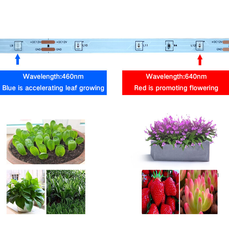 Phyolamp-植物成長用のLEDストリップライト,花の成長用の柔軟なリボン,フルスペクトル,2835ダイオード,水耕温室,水耕栽培用,12v