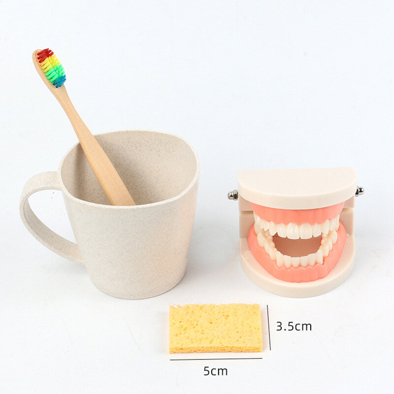 Juguete Montessori de madera para niños, cepillo de dientes con bandeja, Juguetes, Montessori, 2021
