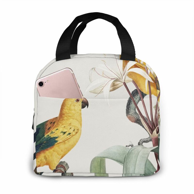 Macaw Tropical Illustration Cooler Lunch Box Portable Insulated Lunch Bag Thermal Food Picnic Lunch Bags