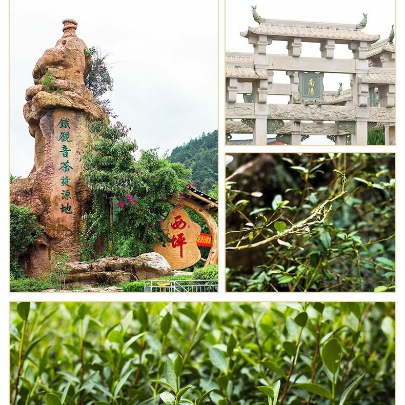 Thé vert Oolong de Tieguanyin à Anxi, chine, 250g 500g 1000g