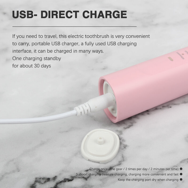 Boyakang Sonic Electric Toothbrush 4 Cleaning Modes IPX7 Waterproof USB Charger Dupont Bristles Adult Smart Timing BYK22