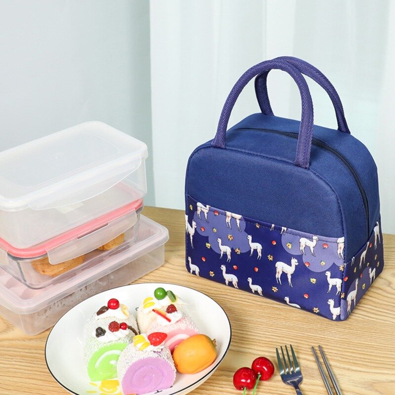 Pranzo al sacco borsa termica borsa frigo portatile scatola pranzo isolata piccola borsa termica per donna bambini contenitore per alimenti freddi scuola Picnic