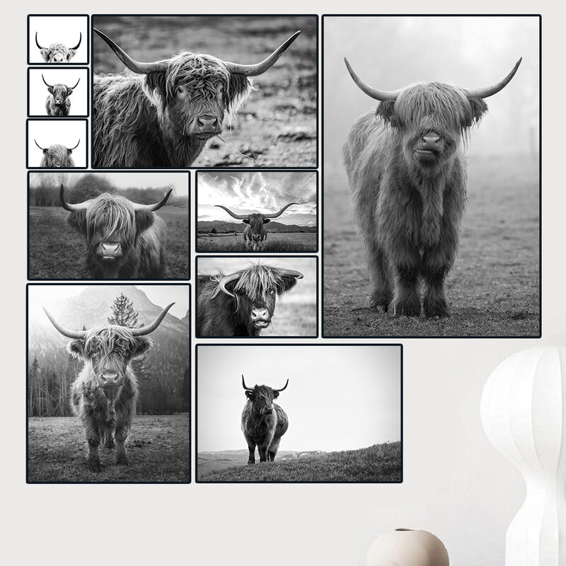 สีดำและสีขาวHighland Cowวัวผนังผ้าใบArt Nordicภาพวาดโปสเตอร์และพิมพ์สแกนดิเนเวียนภาพผนังสำหรับห้องนั...