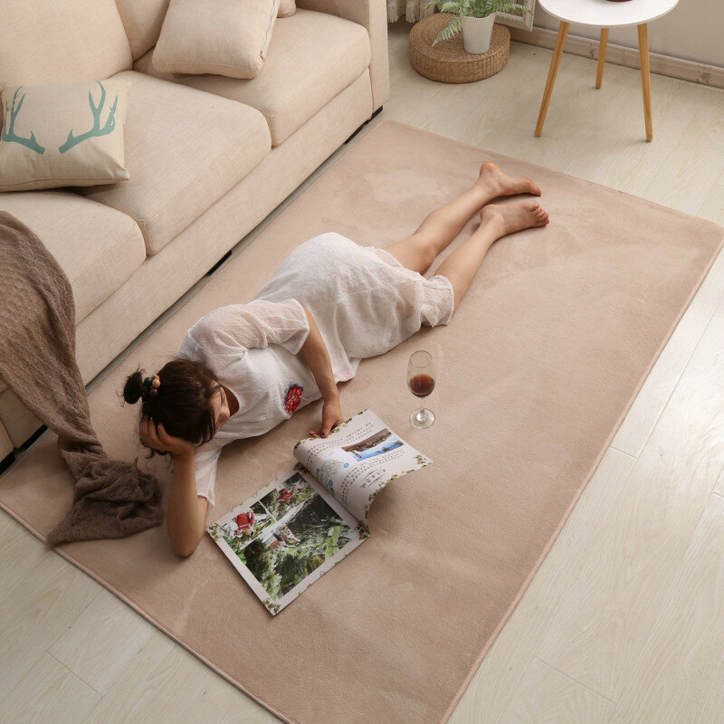 NEW PinkHigh quality short-haired coral velvet carpet bedroom floor mat living room cushion coffee table blanket rug Home
