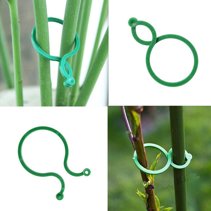 Orchard And Garden 100pcs Botany-stem Vine Strapping Clips Garden Plant Bundled Buckle Ring Tool Кольца
