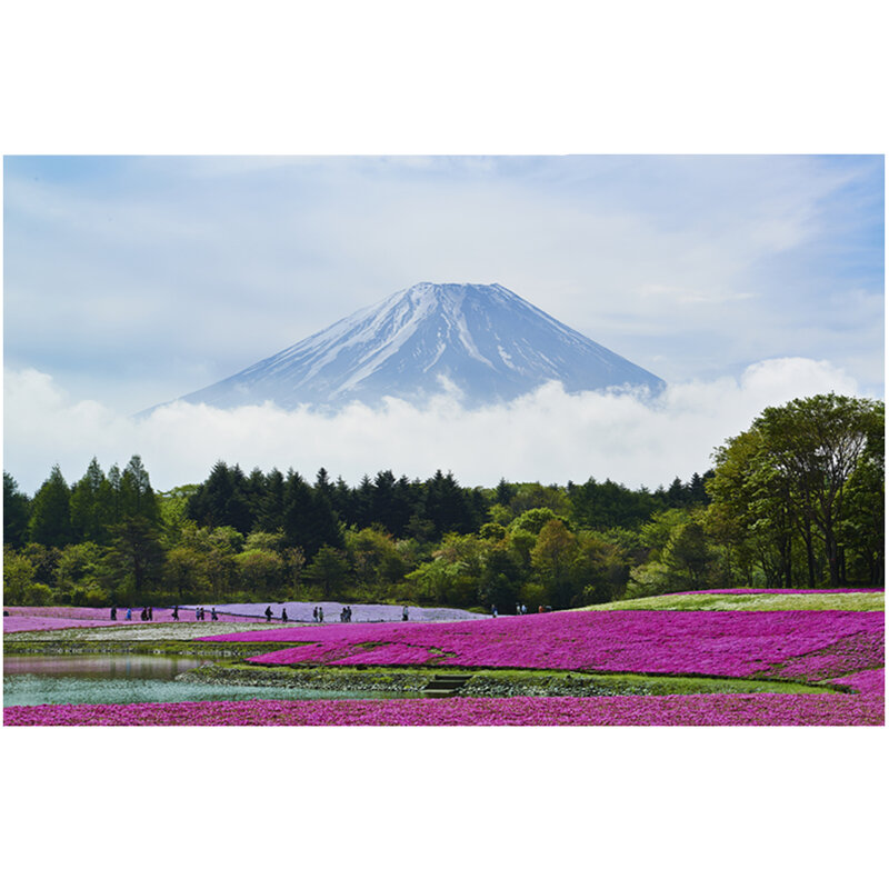 Настенный гобелен с красочным принтом Fuji, Япония M12