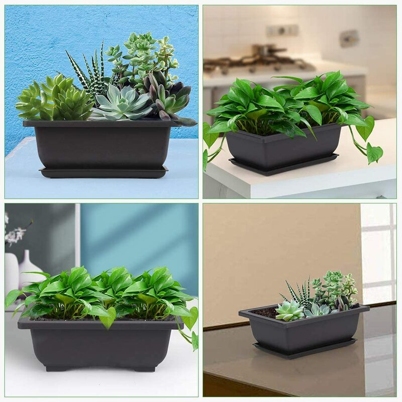 10 paquets Pot de fleurs bonsaï formation Pots avec plateau plastique bonsaï plantes Gg Pot pour jardin cour salon balcon 16.5X12cm