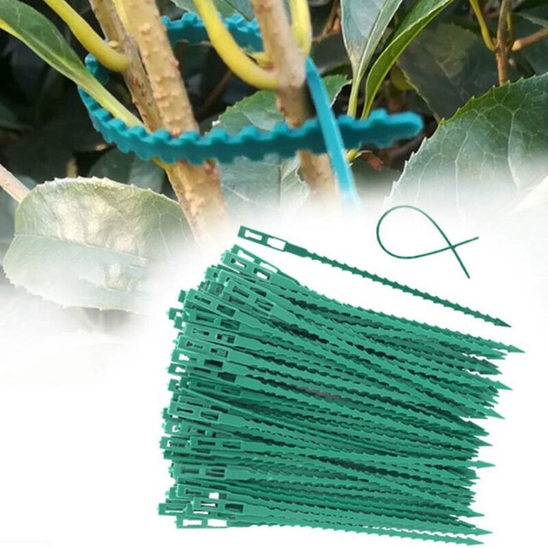 Laços reusáveis do multi-uso do ajudante da jardinagem de 10 pces para escalar a planta plástica flexível fácil dos laços do cabo da planta