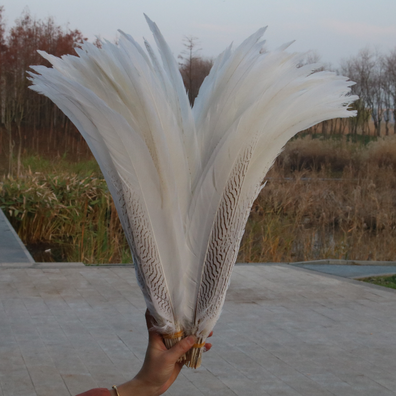 100pcs/lot Elegant White Silver Chicken Pheasant Feathers Decoration 24-26inch/60-65cm for Christmas Accessories Plumas