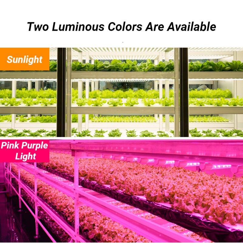Tira de luces LED para cultivo de plantas, lámpara de espectro completo de 30cm, cuatro/ocho/12 cabezales para flores de interior, luz solar/rosa púrpura