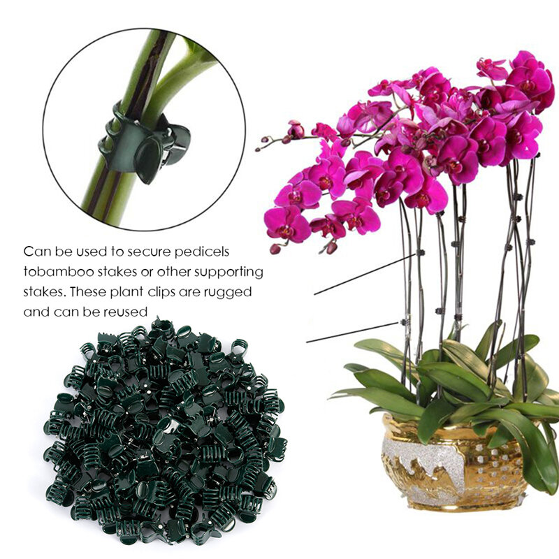 Ganchos de plástico para soporte de plantas, Clip de vástago de orquídeas para soporte de vid, verduras y flores atadas, herramienta de jardín de sujeción de ramas, 100 Uds.