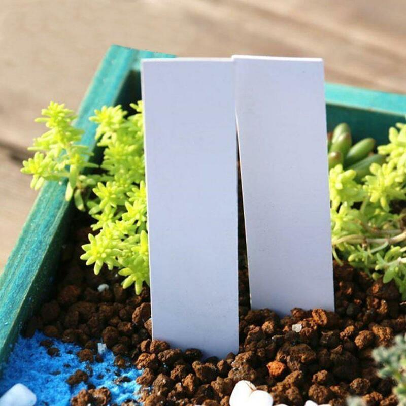 100 개 정원 식물 라벨 플라스틱 식물 태그 보육 마커 화분 모종 라벨 트레이 마크 도구 믹스 색상
