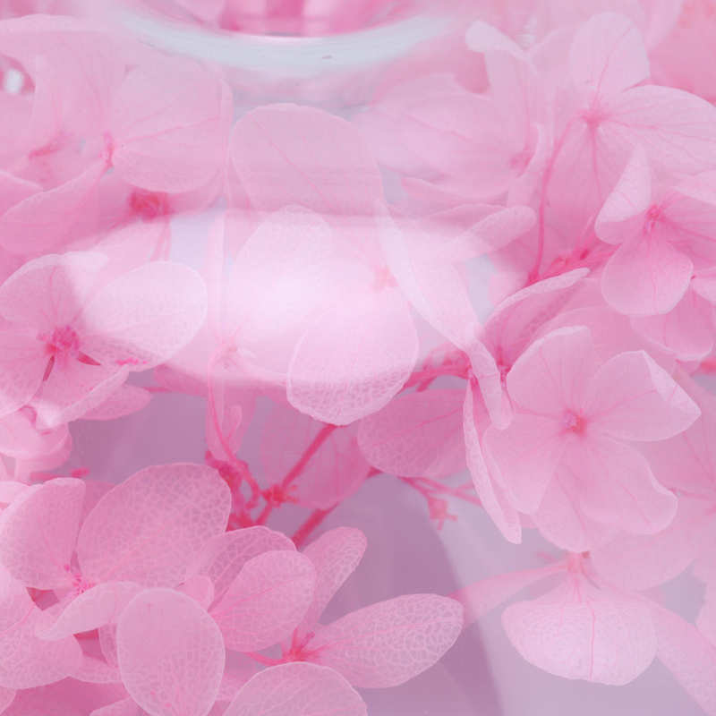 Haushalts gerät ar condicionado Konservierte Blume Aromatherapie Diffusor Stumm Desktop Aroma Diffusor Luftbefeuchter mit