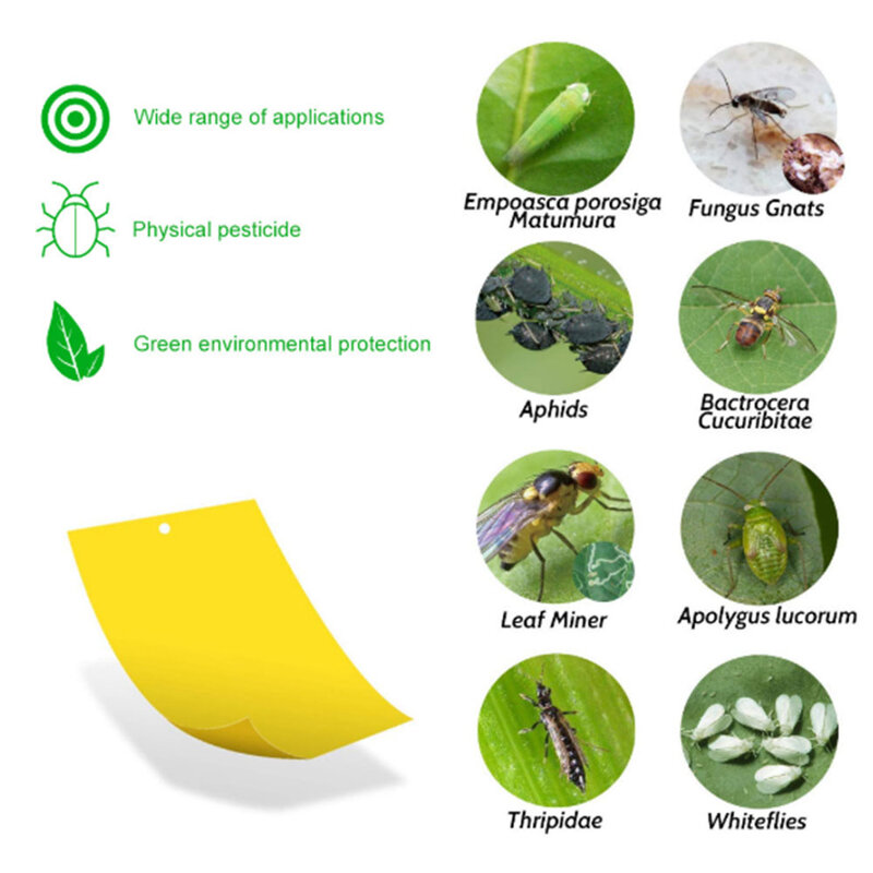 10/20/30 Pcs Fly Bug Mosquito Killer Insecten Pest Catcher Fly Trap Sticker Board Voor Keuken Farm Plant Tuin