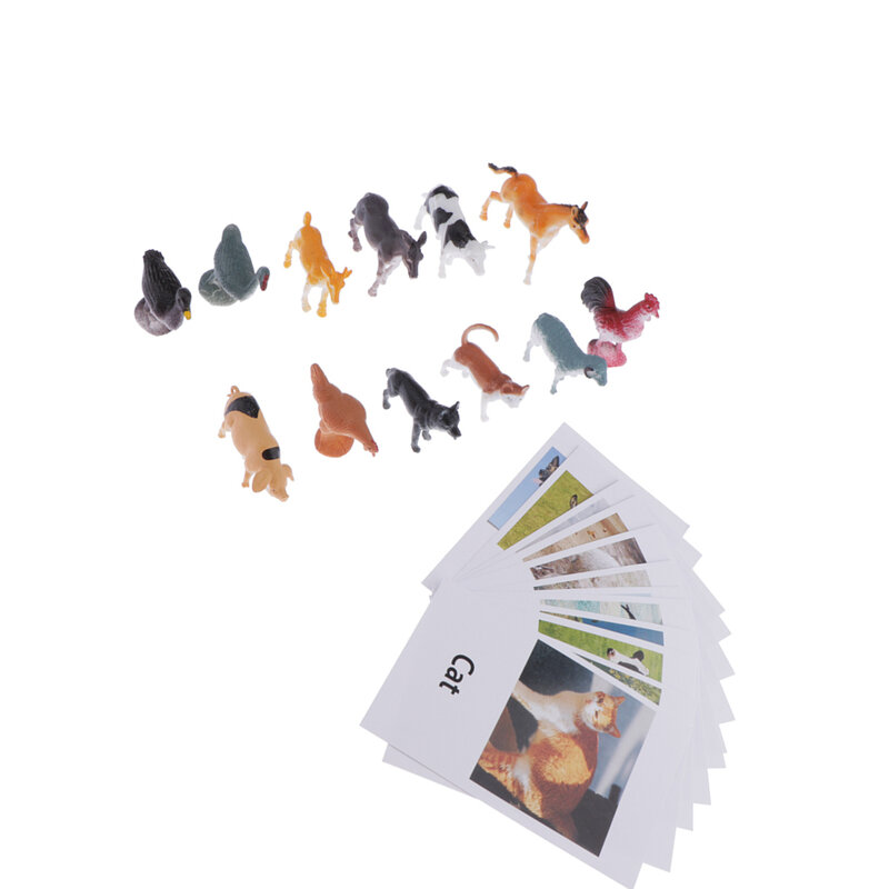 몬테소리 학습 닭 가금류 동물 모델 12 팩, 매칭 카드 포함 선물