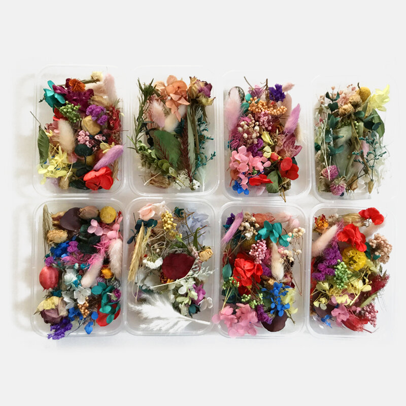 1 caixa de flores secas reais plantas secas para aromaterapia vela resina cola epoxy pingente jóias sabão que faz artesanato diy acessórios