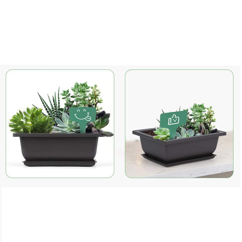10 Packs Bonsai Ausbildung Töpfe mit Tablett Kunststoff Bonsai Pflanzen Gg Topf für Garten Hof Wohnzimmer Balkon 16,5 X12cm