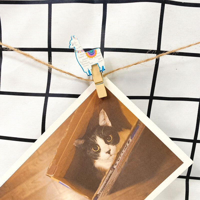 10 قطعة/الوحدة الإبداعية الأصلي ديكور المنزل مشبك خشب للأطفال الهدايا سعر لوحة العرض الزخرفية