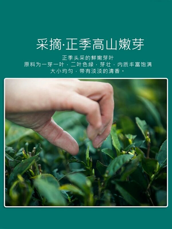 Tea 2020 Spring Tea Biluochun New Tea before Ming Dynasty Bulk Alpine Green Tea Strong Flavor Type