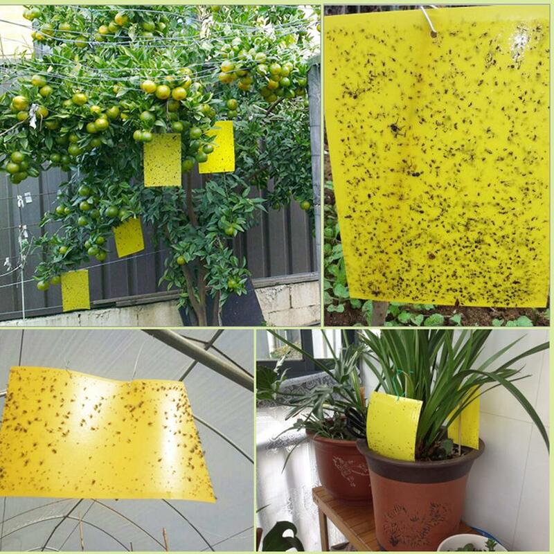 양면 스티커 접착제 과일 플라이 버그 킬러 곤충 노란색 교수형 포수 플라이 트랩 보드 해충 방제 주방 농장 식물 정원