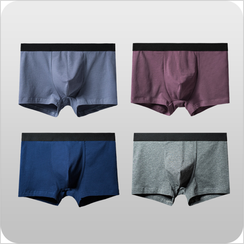 289 Brand Quality Men Boxers Underwear U Convex Designer Breathable Sexy Underpants Soft Cotton Short Boxer Men Under Panties1