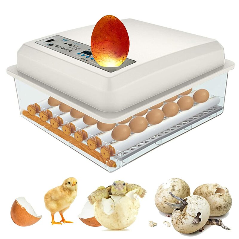 완전 자동 36 계란 부화기 Brooder 계란 트레이 병아리 조류 농장 부화 미니 가금류 부화 계란 부화기 기계