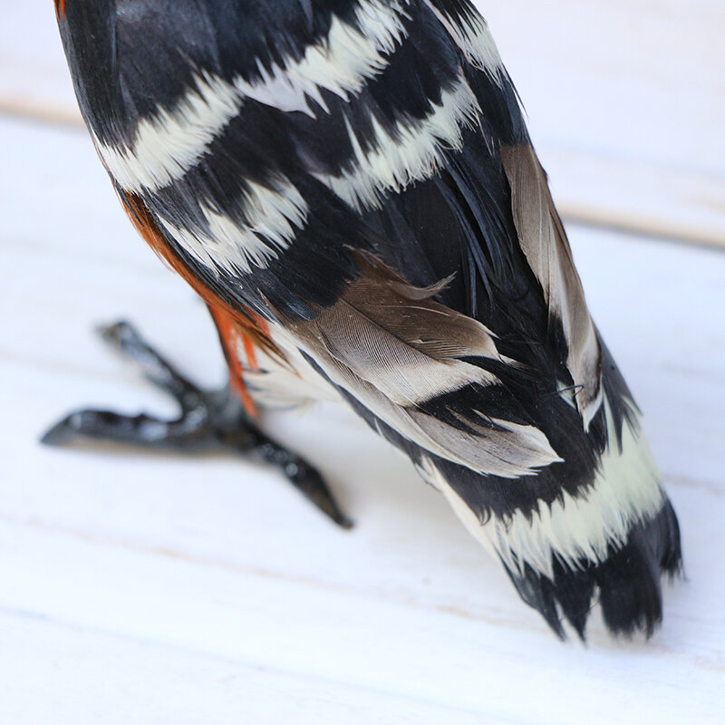 Simulation Birds Specimen Parrot Oriole woodpecker Shrike Hoopoe Sparrow Swallow Feathers Bird Decoration