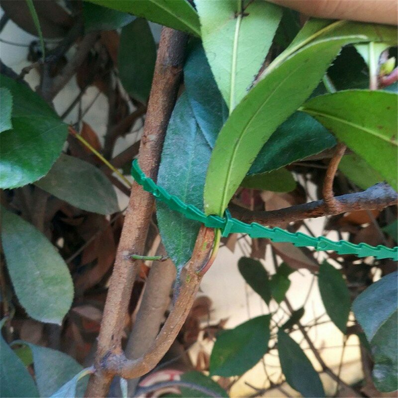 100pcs Green Gardening Vine Climbing Plants Cable Tie Lines Plant Brackets Parts Bonsai Flower Cucumber Grape Rattan Supports