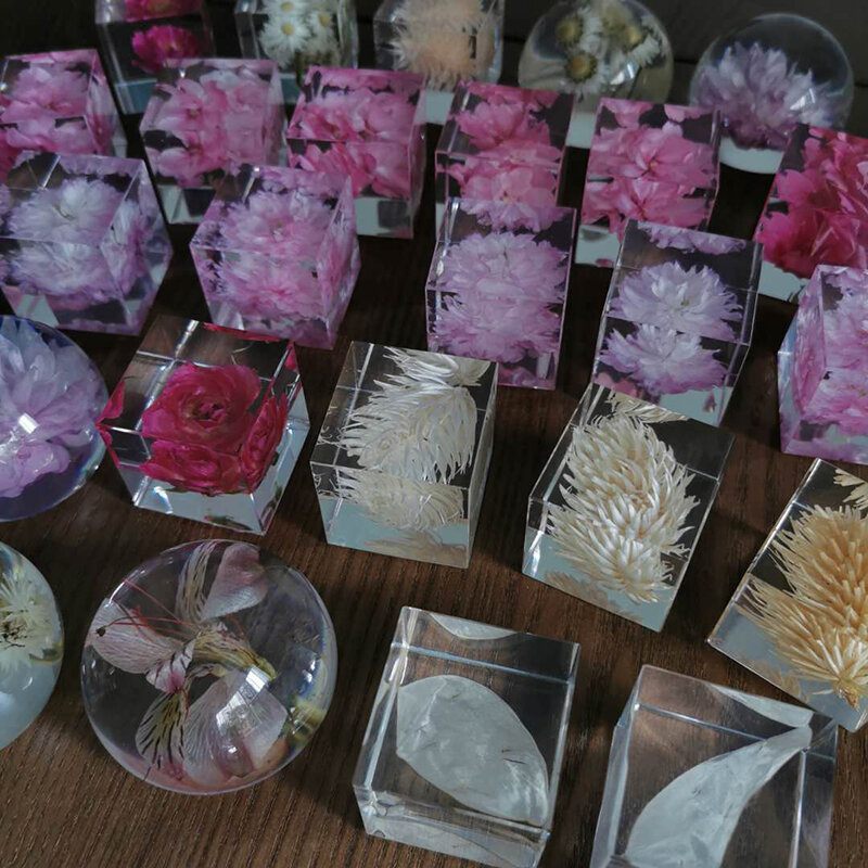Decoração de casa dandelion planta espécime paperweight display quarto decoração acessórios criativos de immortalia flor presentes do feriado