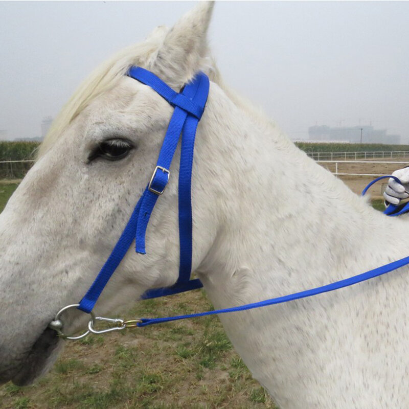 Durable Horse Bridle Horse Rein Headstall Thickened Halter Equestrian Gear Horse Rein Harness Headstalls Removable Free Shipping