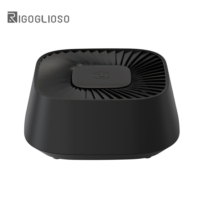 RIGOGLIOSO Ion Air Purifier สำหรับบ้านอิเล็กทรอนิกส์กรอง Ionizer เครื่องฟอกอากาศรถยนต์ล้างทำความสะอาดได้ Air Cleaner Home