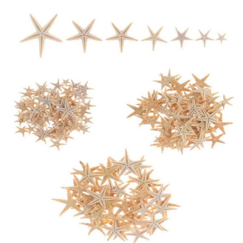 25 sztuk 1-2cm 2-3cm 3-5cm Mini rozgwiazda rzemiosło dekoracji naturalne rzemiosło morze gwiazdy DIY plaża domek ślub wystrój gorące muszle