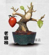 Japão genuine panda's ana bonsai homem 2 bonsai mesa ornamentos cápsula brinquedos modelo de gashapon crianças brinquedos