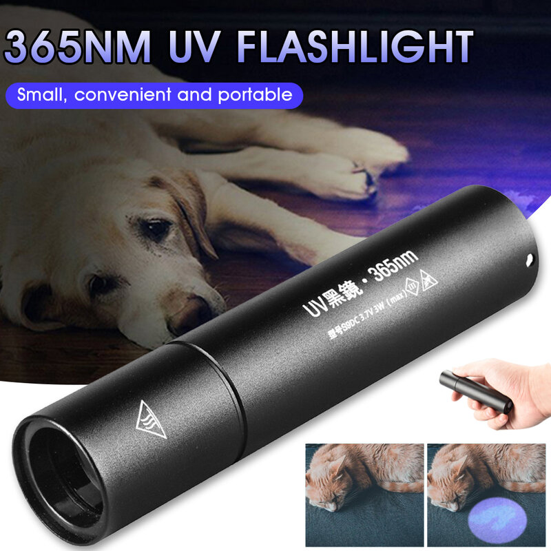 Lampe de poche UV, lumière noire Rechargeable, torche Portable ultraviolette 365nm, pour détecteur d'urine de chien, taches animales, punaises de lit