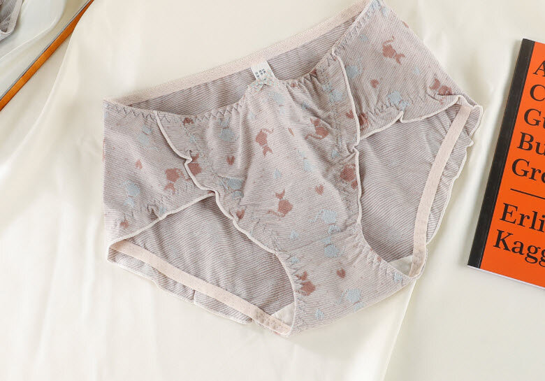 Young girls underpants Soft cotton underwear High fashion and delicate Average size