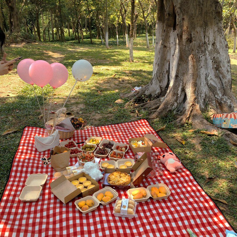 Styl ludowy kosz piknikowy z pokrywką i uchwytem i wkładkami na pikniki, imprezy i bbq
