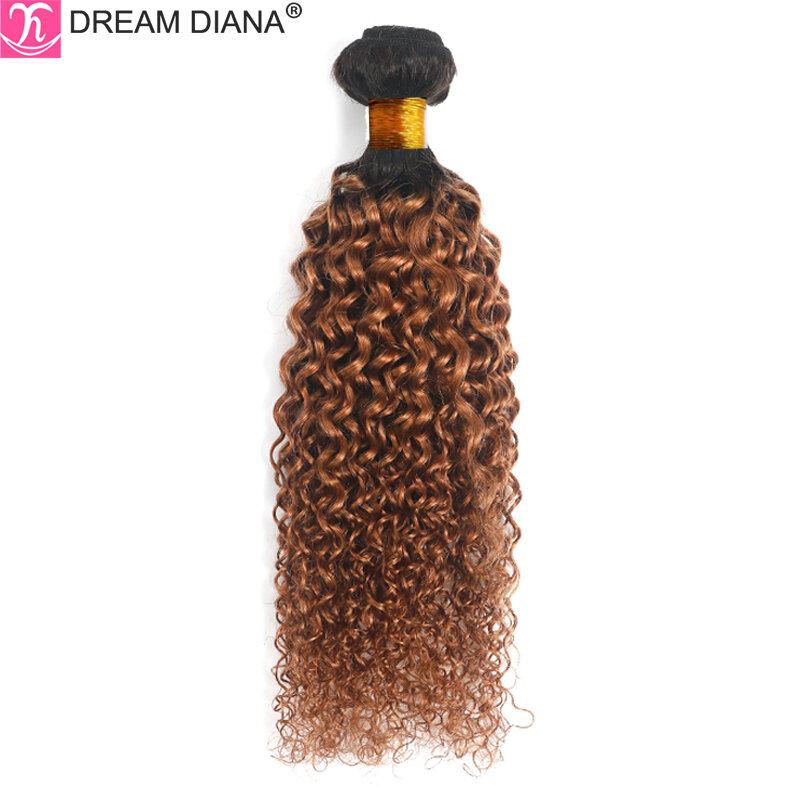 Dreamdiana ombre encaracolado pacotes de cabelo humano ombre malaio onda de água pacotes de cabelo molhado e ondulado pacote 100% feixes de cabelo humano